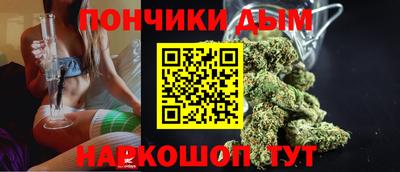 дурь Гай
