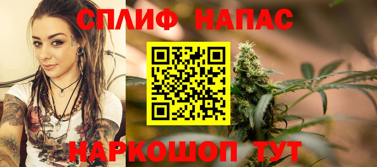 Шишки марихуана сатива Можга